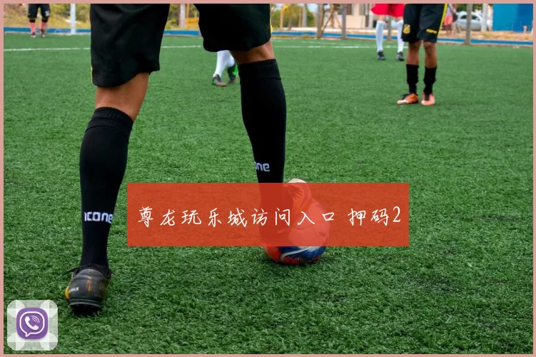 尊龙玩乐城访问入口 押码2