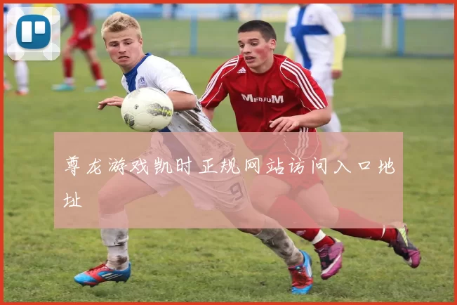 尊龙游戏凯时正规网站访问入口地址