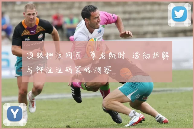 顶级押注网页_尊龙凯时_透彻拆解与押注注码策略洞察