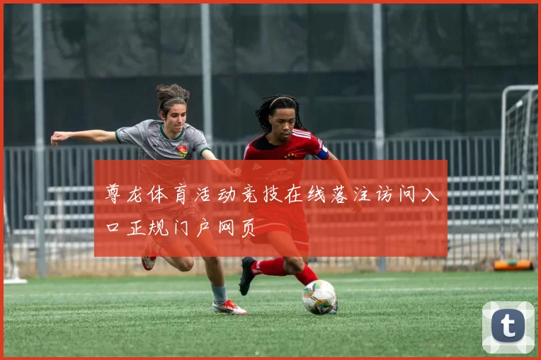 尊龙体育活动竞技在线落注访问入口正规门户网页