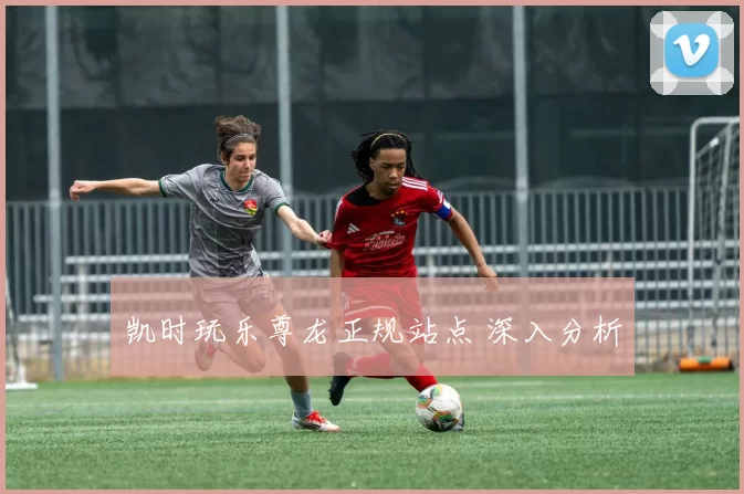 凯时玩乐尊龙正规站点 深入分析