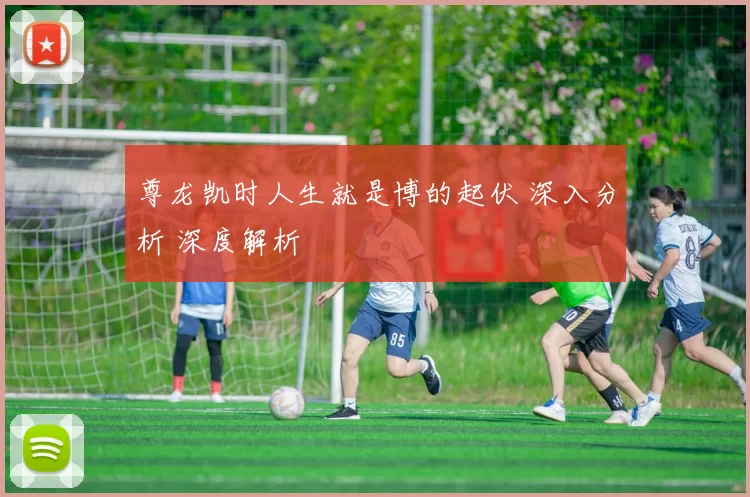 尊龙凯时人生就是博的起伏 深入分析 深度解析