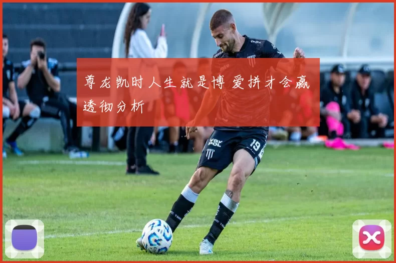 尊龙凯时人生就是博 爱拼才会赢 透彻分析