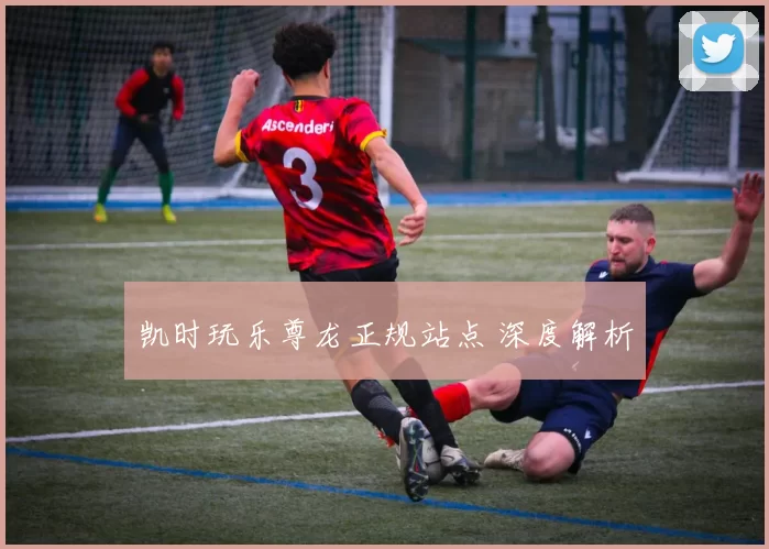 凯时玩乐尊龙正规站点 深度解析