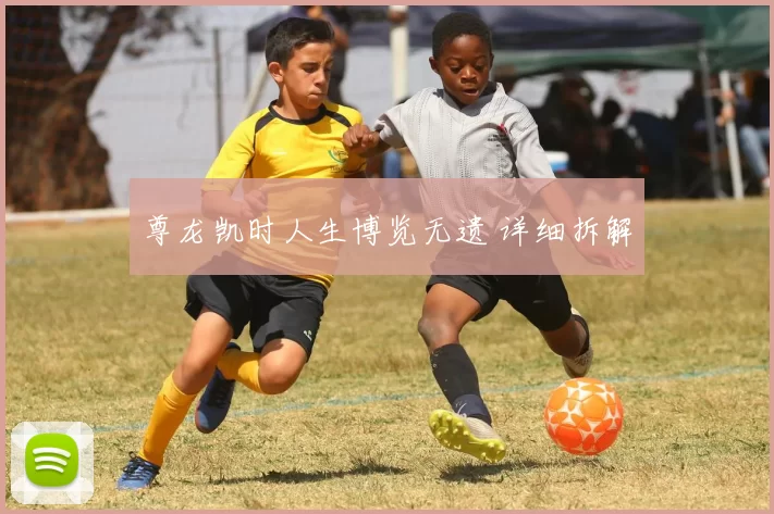 尊龙凯时人生博览无遗 详细拆解