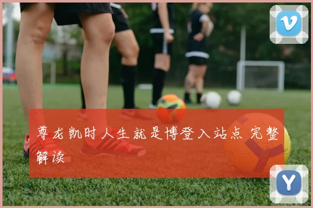 尊龙凯时人生就是博登入站点 完整解读