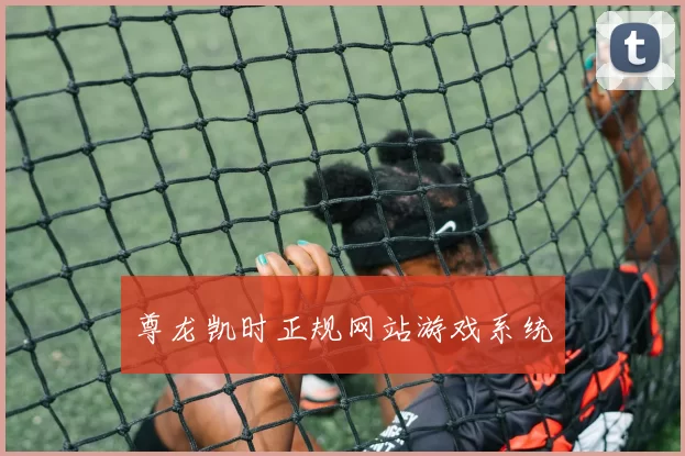 尊龙凯时正规网站游戏系统