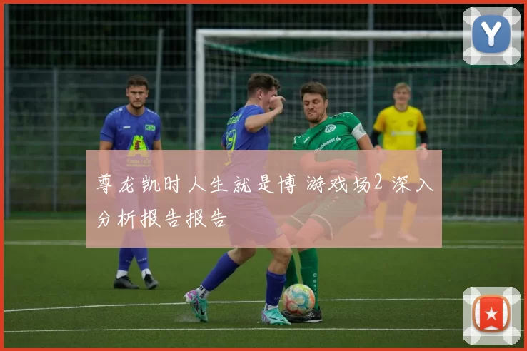 尊龙凯时人生就是博 游戏场2 深入分析报告报告